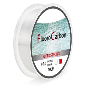 100 Meter Competitive Silk Nylon Fishing Line (Option: Transparent-4.0)